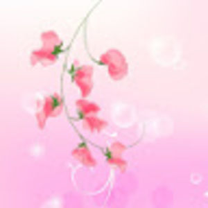 Meet your Posher, Mimi